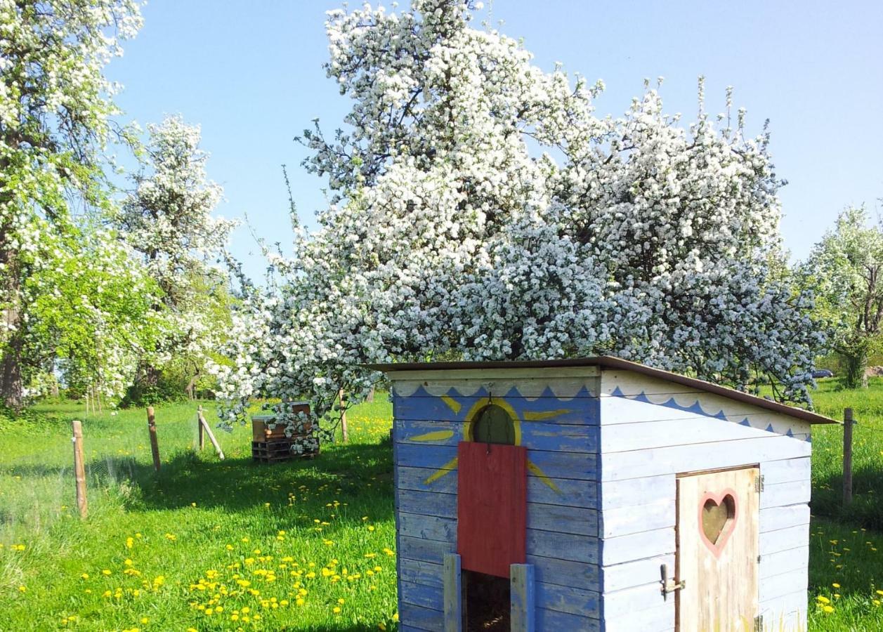 Schoenbuchjuwel Walddorf  Exterior foto